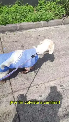 Volviste a brillar pequeña hermosa❤️‍🩹 (ig: Zadrigman)