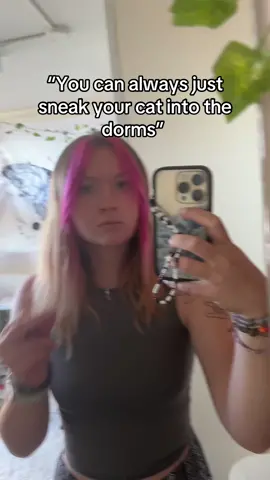 The sneakiest boy  (Please go watch my pinned video about Rocco before you make any assumptions thank you! 🫶🏻)#sneakycat #dormkitty #foryou 