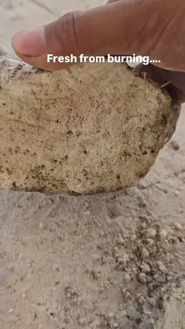 Batu gamping kadar tinggi fresh dari tungku pembakaran