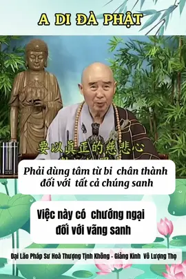 Đại Lão Pháp Sư Hoà Thượng Tịnh Không - Giảng Kinh Vô Lượng Thọ trích đoạn ( tập 125 )  #phapsutinhkhong #hoathuongtinhkhong #niemphatvangsanh #adidaphat🙏🙏🙏 #adidaphat #xuhuong #xuhuongtiktok 