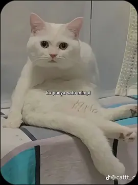 satu mimpi #xyzbca #fyp #trend #CapCut 