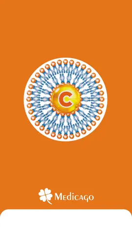 Günlük C Vitamini ihtiyacınızı en etkili şekilde karşılayın! 🍊 Medicago Lipozomal C Vitamini, vücudunuzun ihtiyaç duyduğu C Vitamini desteği yüksek biyoyararlanım ile sunar. Medicago Lipozomal C, 1 kapsülünde 500 mg Vitamin C (Lipozomal) içerir. ✅Lipozomal Vitamin C’de kullanılan Lipozomal yapılar gastrointestinal sistemdeki C vitamini yıkımını azaltır, salınımını yavaşlatır ve emilimi artırır. *   *Hickey ve ark. 2008, Wechtersbach ve ark. 2012) #medicago #medicagoilaç #mutlulukiçinsağlık #lipozomalc #cvitamini #vitaminc #besintakviyesi #gıdatakviyesi #lipozomal #lipozomalteknolojisi #türkiyedeilk  
