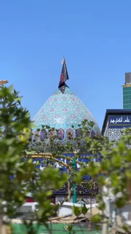 السَّلامُ عَلَيْكَ يا حُجَّةَ الله وَدَلِيلَ إِرادَتِهِ #زيارة #المهدي_المنتظر #الامام_المهدي #الحجة #صباحيات #صباح_الخير #أهل_البيت #العتبة_العباسية_المقدسة #أجر_الرسالة #ياصاحب_الزمان  #واحسيناه #المؤمنات #المؤمنين #ويبقى_الحسين #وفاء_للحسين #الله #محمد #علي #العتبة_الحسينية_المقدسة #العتبة_الكاظمية_المقدسة #العتبة_العلوية_المقدسة #العتبة_الرضوية_المقدسة #كربلاء #كربلاء_المقدسة #بين_الحرمين #اكسبلور #ترند 