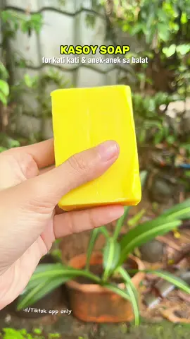 kasoy soap para sa mga kati-kati sa balat. #kasoysoap #naturesmiracle #antibacterialsoap #antifungalsoap #psoriasis #eczema #fyp 