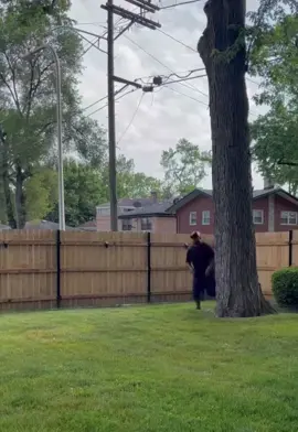 Mind your business so you’ll live longer 💯