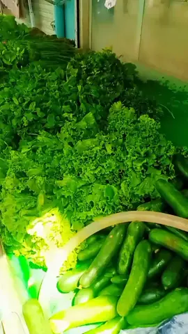 سبزی فروشی علیزاده گشنیز#ریحان #شاهی #ملی #رایی #پالک #جعفری #شبید #گندنه #پیاز #کاهو #ترتیزک #رومی 