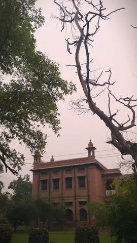 🎶 #vibe #pottery #like #foryou #trending #ishq #beautful #view #sadaong #brokenheart #uaf #agricultureuni #fsd 