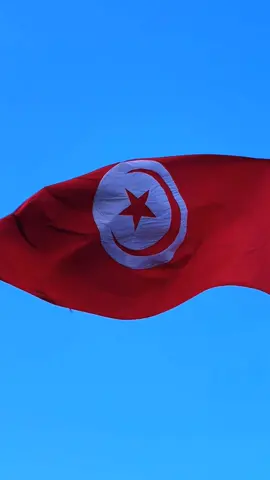 The most beautiful flag in the world 🇹🇳❤️ #تونس #tunisia #flag 