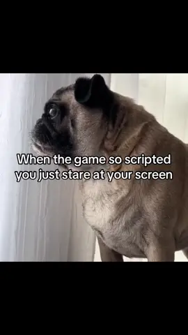 Outrageous ahh caption #eafc24 #ultimateteam #pug #trending #4u #fyp #foryou 