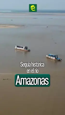 [ATENCIÓN] MUNDO: imágenes muestran al río Amazonas atravesando una sequía histórica, a pesar de ser el más caudaloso del mundo. La grave falta de lluvias en la región ha provocado un descenso crítico en los niveles de agua, dejando embarcaciones varadas y poniendo en riesgo el suministro de alimentos, así como la vida de las comunidades cercanas y la fauna local. Un hecho similar se registró en el 2023.  Para más detalles visita:  https://www.expresatems.com/