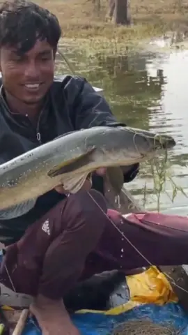 গজার মাছ  #shortsreels #village #reels #fishing #fishingtrip #viralvideo #villagelife #shortsvideos 