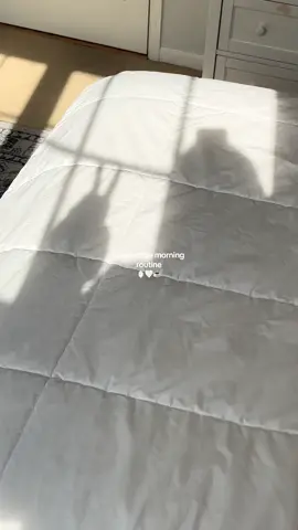 happy friday!! reset before the weekend w me 🍸🍸 #productivemorningroutine #morninggrwm #cleaningreset #pinterestaesthetic #amazonfinds #creatorsearchinsights 