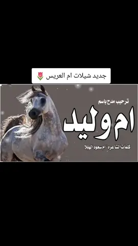 شيلة ام العريس ام وليد #زفات_عرايس_بالأسم_شيلات_تخرج_زواج_🎼🎙🎧🎶🎵 #شيلة_عرضه_جنوبيه_افخم_شيله_ترحيب_جديد #زفات_عرايس_بالأسم_شيلات_تخرج_زواج #وداعية_عروس 