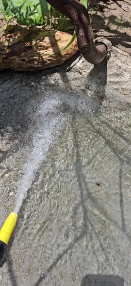 Assim seja amém 🙌🏾🕊🙏🏾#Deus #pássaros #natureza @aninha 