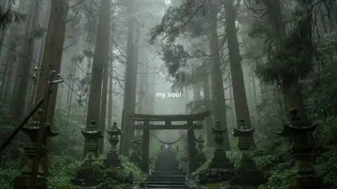 🏯#japan #fyp #foryoupage #xyzbca #pinterest #japanaesthetic #japanese #aesthetic #quietlife #comfort #pinterestaesthetic #foryou #darkaesthetic #vibe 