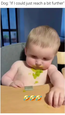 dog trys to lick all the food of our baby funny dog video #funnyvideos #animals #doglover #dogsoftiktok #dog #funnydog #funnydog #dogs #fypシ゚viral #funny 