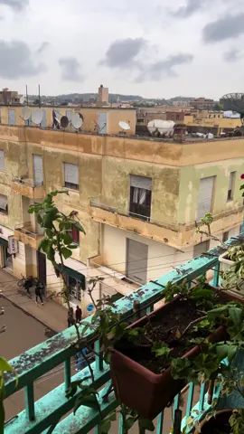 View from home ✨ #asmara #eritreantiktok🇪🇷🇪🇷habesha #eritreantiktok #habeshatiktok