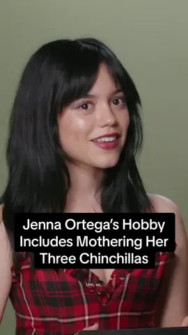 Honestly, we’d be disappointed if #JennaOrtega *didn’t* have three chinchillas. #WinonaRyder #AskMeAnything #Beetlejuice #Beetlejuice @Beetlejuice 