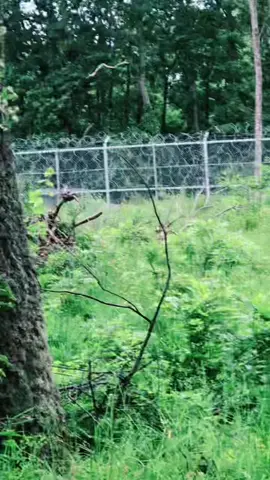 رشتیا ووایی چا چا ورسره مخ شوی دی -بلغاریه- ❤️‍🩹-🥷.   —Bulgaria 