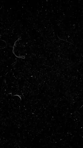 #ᥣ᥆᥎ᥱ #تصاميم #خيل_وخياله🐎 #fyp #fyp #fyp #fyp #fyp #viral 