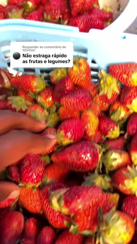 A responder a @1034567 