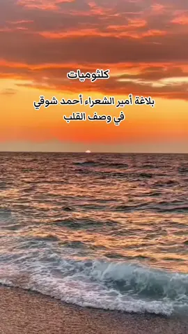 أم كلثوم سلو قلبي    ولي بين الضلوع دم ولحم #أحمد_شوقي #رياض_السنباطي #كوكب_الشرق_ام_كلثوم #كلثوميات_الليل_☕🎼 #اغاني #الست #الزمن_الجميل #الزمن_الجميل #احمد_شوقي #الطرب_الاصيل #طرب #موسيقى #تصوير #تصميم_فيديوهات🎶🎤🎬 #تصويري_احترافي_الاجواء👌🏻🕊😴 #الانتشار_السريع #ترند_تيك_توك #fyp #fypage #نغم #الفن #اكسبلورexplore #شعر_فصيح #ام_كلثوم_مصر #السعودية_الكويت_مصر_العراق_لبنان #الشعب_الصيني_ماله_حل😂😂 #المغرب #المغرب🇲🇦تونس🇹🇳الجزائر🇩🇿 #مصر_العراق_السعودية_تونس_المغرب_الجزائر #السعودية #CapCut 