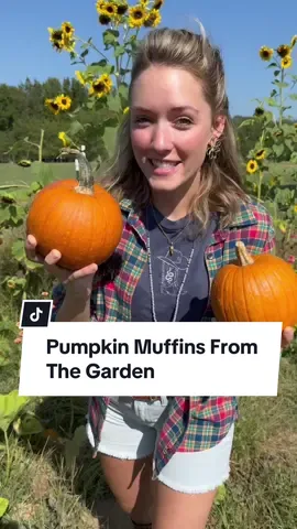 You can’t get more “from scratch” than this 😋 #pumpkinseason #pumpkin #Recipe #garden #harvest 