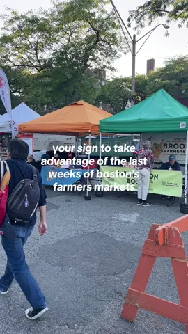 get the freshest produce while you still can! 🍎🌽🥔 #boston #bostontiktok #thingstodoinboston #bostonfarmersmarket #cambridge #cambridgema #bostonfarmersmarkets #bostonfoodie #bostonfoodies 