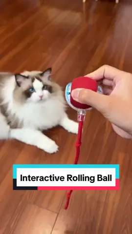 Interactive Rolling Ball 🪀  #rollingball #cattoys #catproducts 