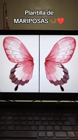 Tenemos más de 60 modelos de mariposas que puedes elegir 😍🦋 #tendencia #mariposas #ramomariposas #ramos 