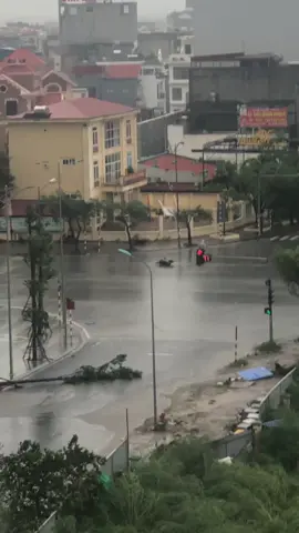 Cập nhật bão Hải Phòng😔😟 #bãoyagi 