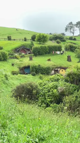 When in Aotearoa #newzealand #hobbiton #lordoftherings 