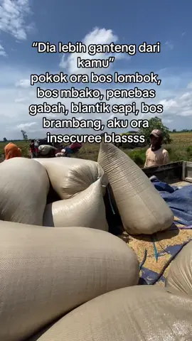 Acc lekk🤪 #petanimuda#petanipadi #masukberanda#sawah #fyp 