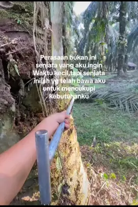 Sulit bukan berarti tidak mungkin 💪#fypppppppppppp #masukberanda #sawitkuansing #petanisawit #kulisawit #pejuangangsuran @Dickyandrian.HTRK16✌️ @𝗚𝞓𝗦𝙍𝙐𝝟𝗚𝙀𝞜𝞙 @sapriad01☑️ @TJM_PROJECTS⚡ @MR RHD 