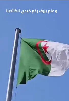 #من_أجلك_عشنا_يا_وطني  #وعلم_يرفرف_رغم_كيدي_الكائدينا #الجزائر🇩🇿 #الجزائر  #جزائري🇩🇿 #جزائرية  #جزائرية_وافتخر #جزائرية🇩🇿 