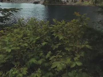 #foryou #fypシ #cinematography #natureaesthetic #nature #hike #aesthetic #naturecore #postivevibes 