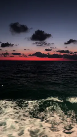 Em te lam em biet khong ?