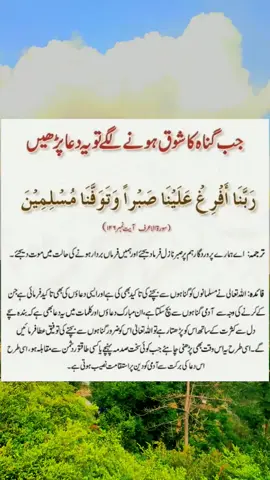 #HadithOfTheDay  #IslamicQuotes   #MuslimInspiration  #Hadith  #IslamicReminders