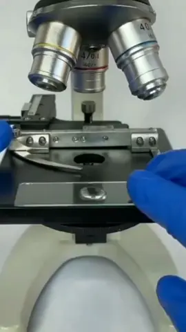 #Meme #MemeCut #CapCut Tubig sa Microscope 😏