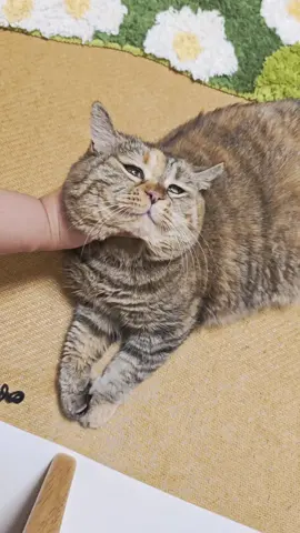 I'm just helping my mom sort out her hair.
