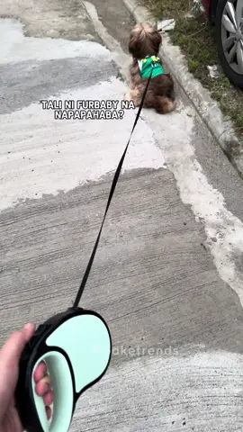 Super saya ni Zaint at nakakapaglaro siya ng malayuan. Super safe at comfy niya ✨🥰 #dogleash #retractableleash #dogautomaticleash #automaticretractabledogleash 