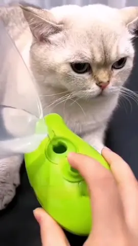 Escova a vapor Pet elétrica 3 em 1 Massagem cães gatos  Tira pelos Recarregável auto limpeza  #Fy #gatos #caes #vendas 