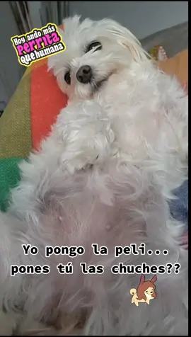 #sabado #september #2024 #intuition #parati #parami #directa #comedia #rubi #rebelde #vida #goku #ella #noahschnapp #pelicula #manta #sofa #chuches #sonrie #mua 