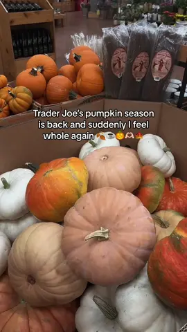 Trader Joe’s Fall is back!! 🎃🍂🫶🏻 They have some products I’ve never seen before, like pumpkin cold brew concentrate and pumpkin snickerdoodle cookies 🙂‍↔️🍁AND of course they have *real* pumpkins out! Happy almost Fall 🍁🧡🫶🏻🍂🎃 #fallvibes #falldecor #fallaeathetic #fallvibes #autumnaesthetic #autumnmood #autumnvibes #pumpkinspice #traderjoeshaul 