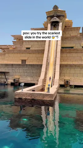 Would you try it? 🦈 #travelbucketlist #dubai