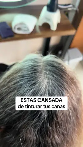 Cansada te tus canas ? Aquí tenemos una opción para ti ! #saludcapilar #cambiodelook #valledeloschillos #crisanto 