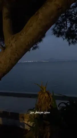 #سيرين_عبدالنور #سنين_عم_بنطر_مين🌹#موسيقى #اغاني #اكسبلور 