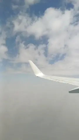 tiɣri n taǧǧalt  Matoub Lounès traduction مترجمة