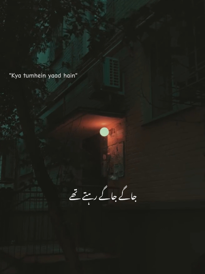 Jaage jaage rehte the 🥲🕊️