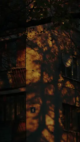 Nada de esto fue un error ❤️  #fyp #parati #nadadeestofueunerror #nadafueunerror #coti #foryou #foryoupage #pmusic23 #balada #musicaromanticaenvideos #lyricsvideo #lyricssong